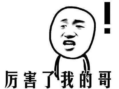 2016網絡流行語第二名：厲害了我的哥 （火爆指數：★★★★★） 