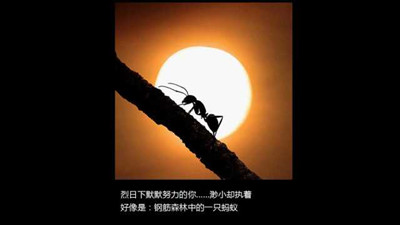 原創(chuàng)活動(dòng)